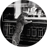 Fotografia artystyczna